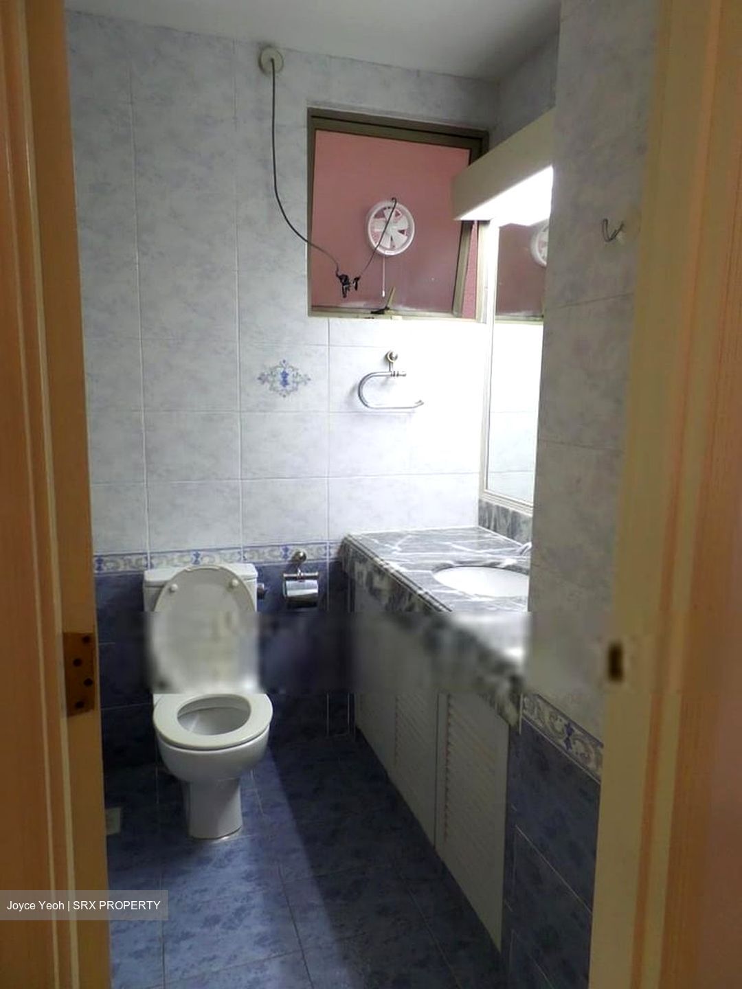 Banyan Condominium (D5), Condominium #578654911